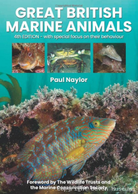 Great British Marine Animals (Paperback) product photo